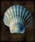 Ocean Treasure II Poster Print by Caroline Kelly # CKL111449DG